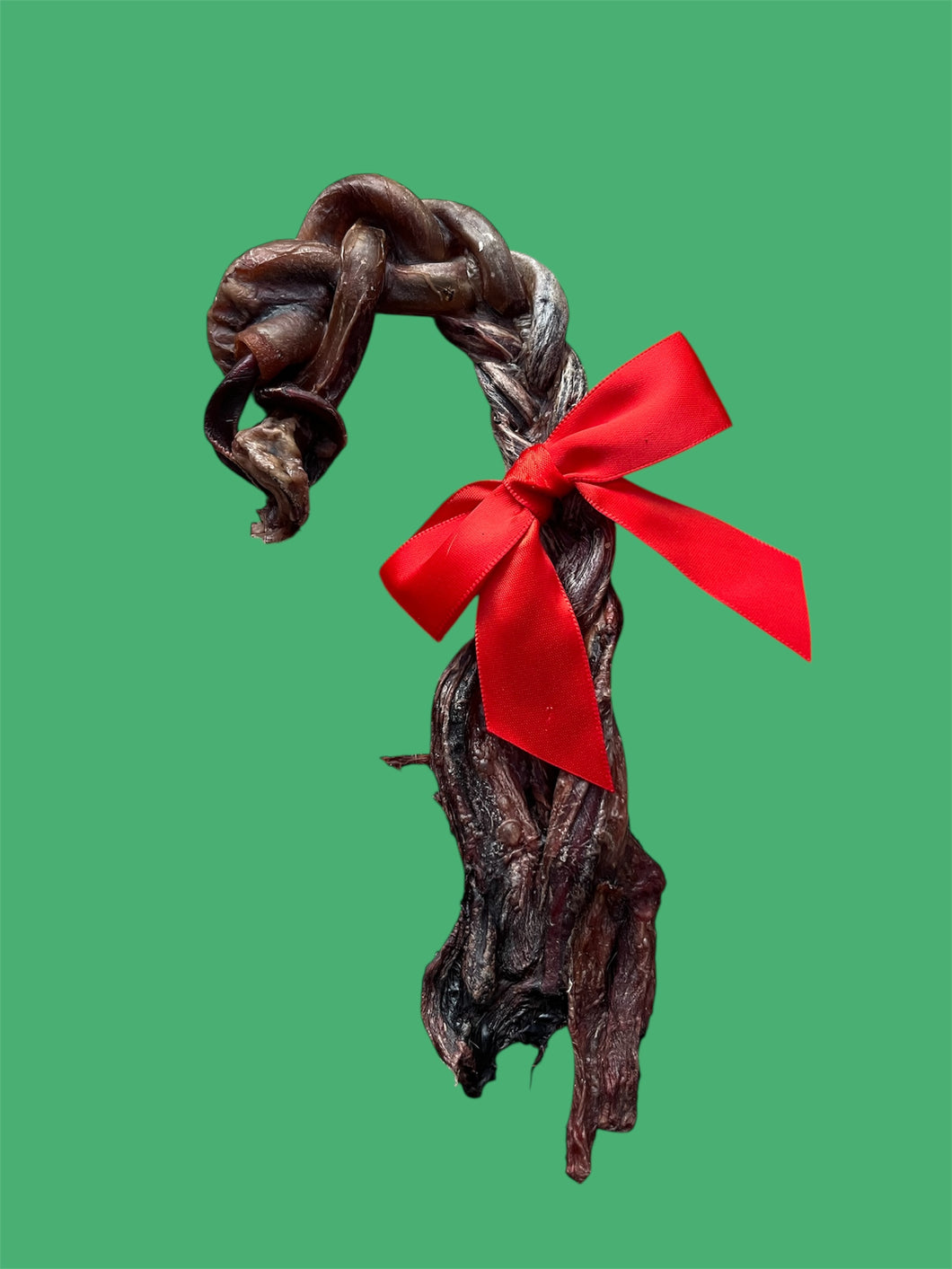 Braided Pork Pizzle Candy Cane