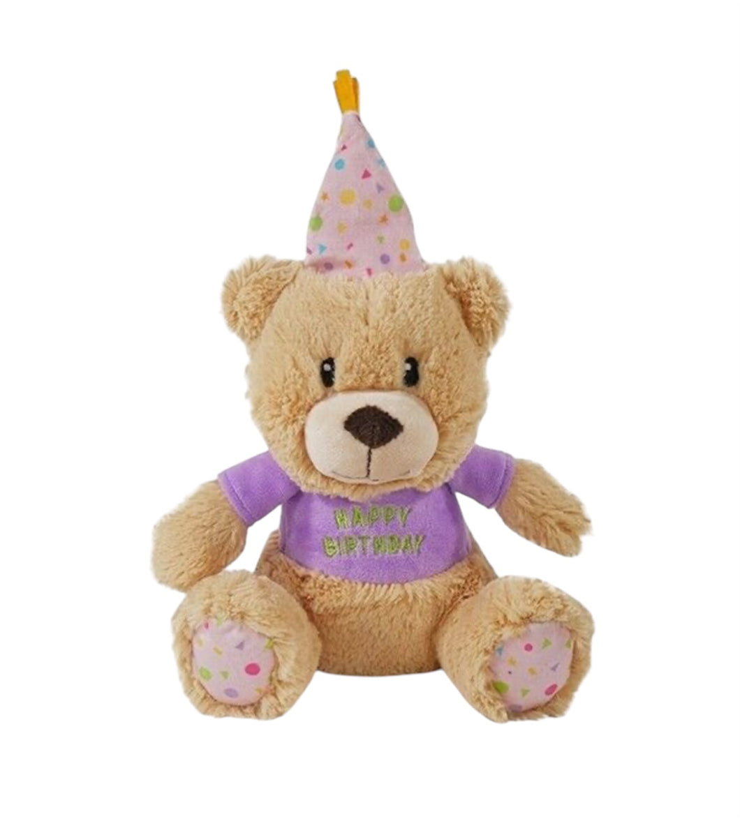 Dog Birthday Bear Squeaky Plush Toy