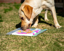 Load image into Gallery viewer, Pawcasso Pup Painting Kit – Mess-Free Art for Your Dog! 🎨🐾
